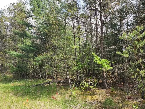 Arkdale, WI 54613,Lot 303 Cypress Drive