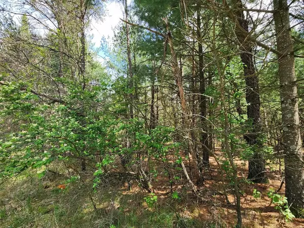 Arkdale, WI 54613,Lot 303 Cypress Drive