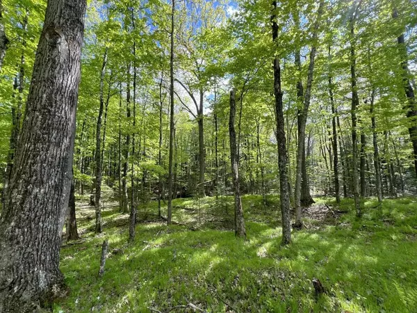 Other, WI 54463,19.95 Acres Old Elcho Road