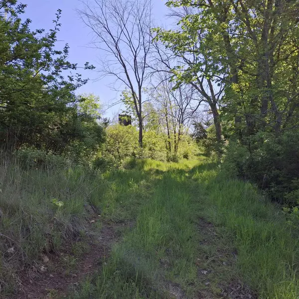 Richland Center, WI 53581,40 Acre Lot Walnut Lane