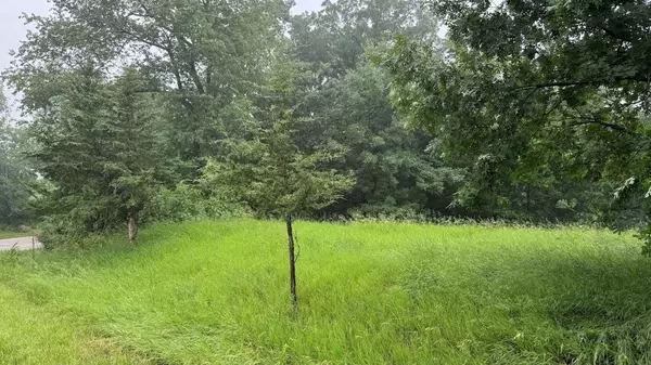 Wisconsin Dells, WI 53965,L22 Hillside Drive