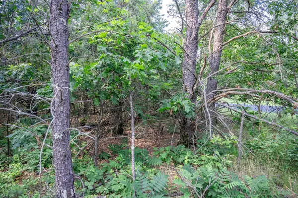 New Lisbon, WI 53950,Lot 188 Mallard Drive