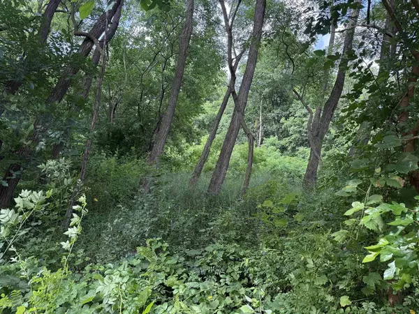 L1095 Hunt Club Addn, La Valle, WI 53941