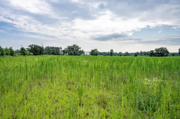 20.255 Acres 28th Avenue, Lyndon Station, WI 53944