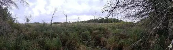 Gordon, WI 54838,40 Acres Copper Mine Road