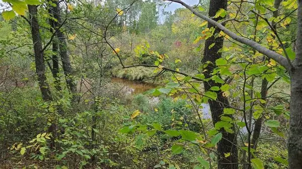 40 Acres Copper Mine Road, Gordon, WI 54838