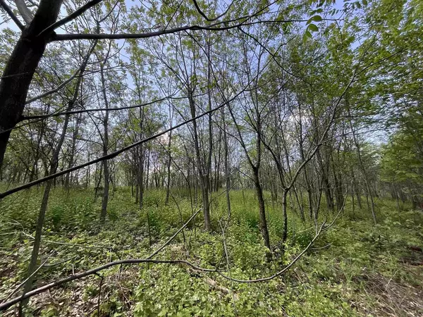 Lot 22 Fur Lane, Oxford, WI 53952