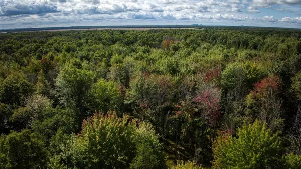 Arkdale, WI 54613,10.32 Acres Bighorn Avenue