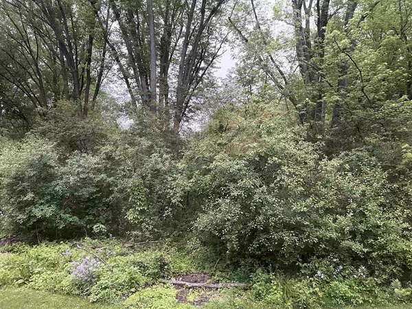 Cambridge, WI 53523,Lot 5 Lakeview Drive