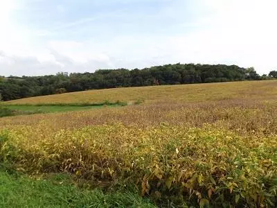28+/- Acres Sand Hill Road, Boscobel, WI 53805