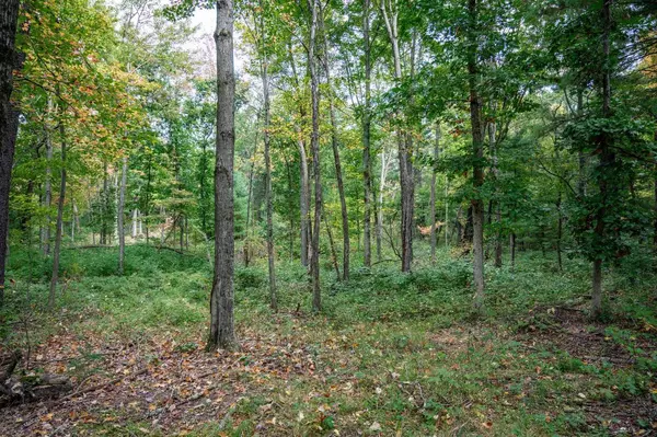 W1838 Juneau Woods Road, Wisconsin Dells, WI 53965