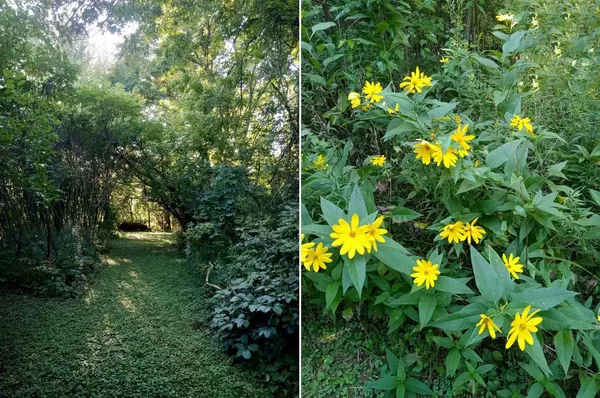 Lot 20 Gaston Circle, Cottage Grove, WI 53527