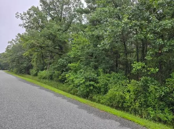 20th Street, Mauston, WI 53948