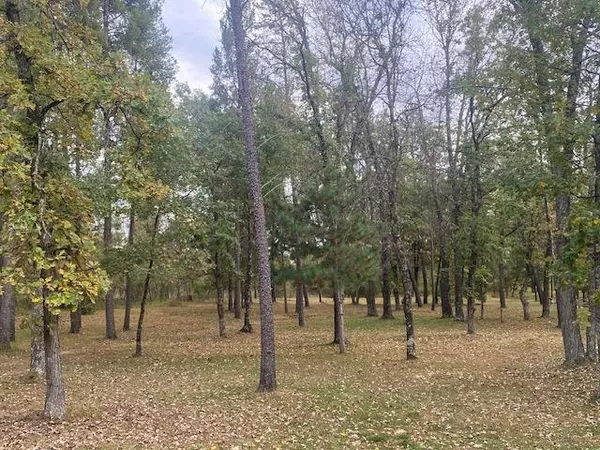 Nekoosa, WI 54457,1407 Rain Dance Trail