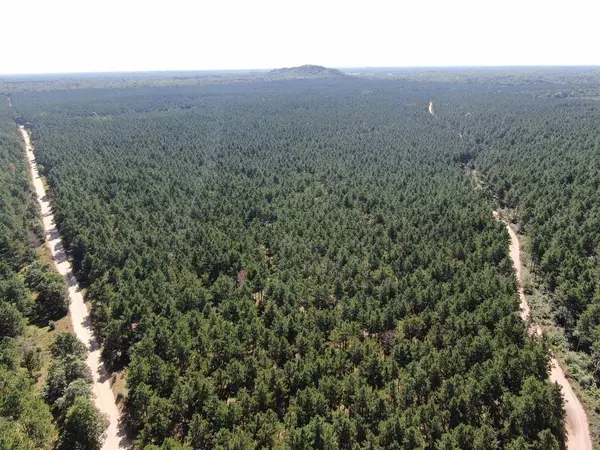 77 AC State Highway 13 Acres, Nekoosa, WI 54457