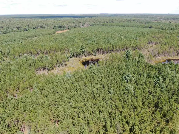 40 AC Browndeer Dr W Acres, Arkdale, WI 54613