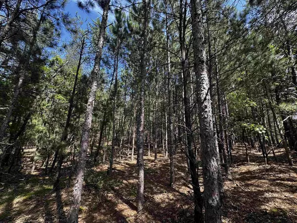 Arkdale, WI 54613,40 AC Browndeer Dr W Acres