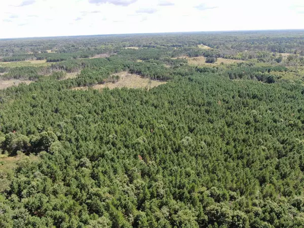 Nekoosa, WI 54457,80 AC 13th Ct Acres