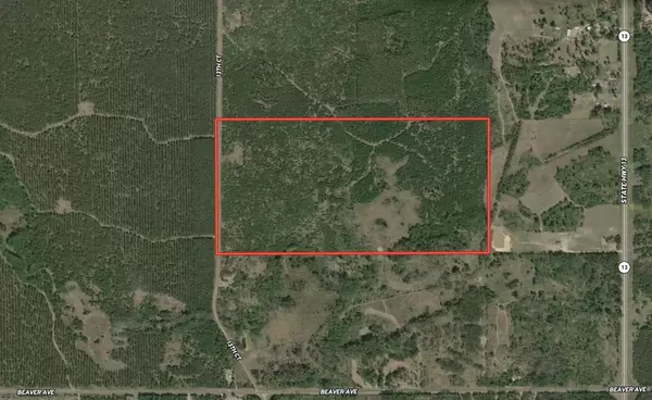 Nekoosa, WI 54457,80 AC 13th Ct Acres