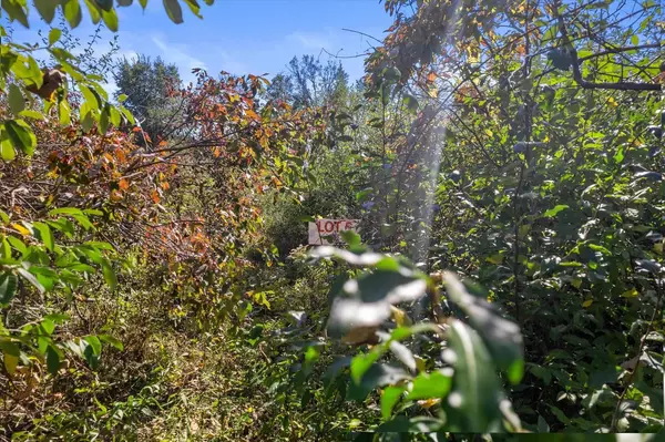 Woodland, WI 53941,798 Dutch Hollow Drive