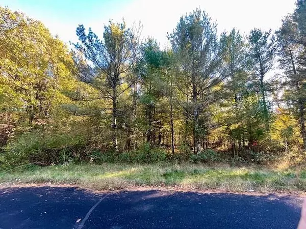 Nekoosa, WI 54457,1473-1481 Roma Woods Drive