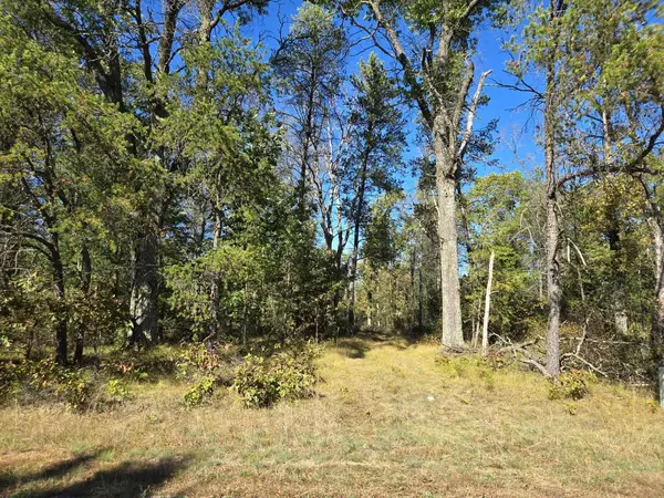 3.35 Acres Brown Deer Avenue, Arkdale, WI 54613