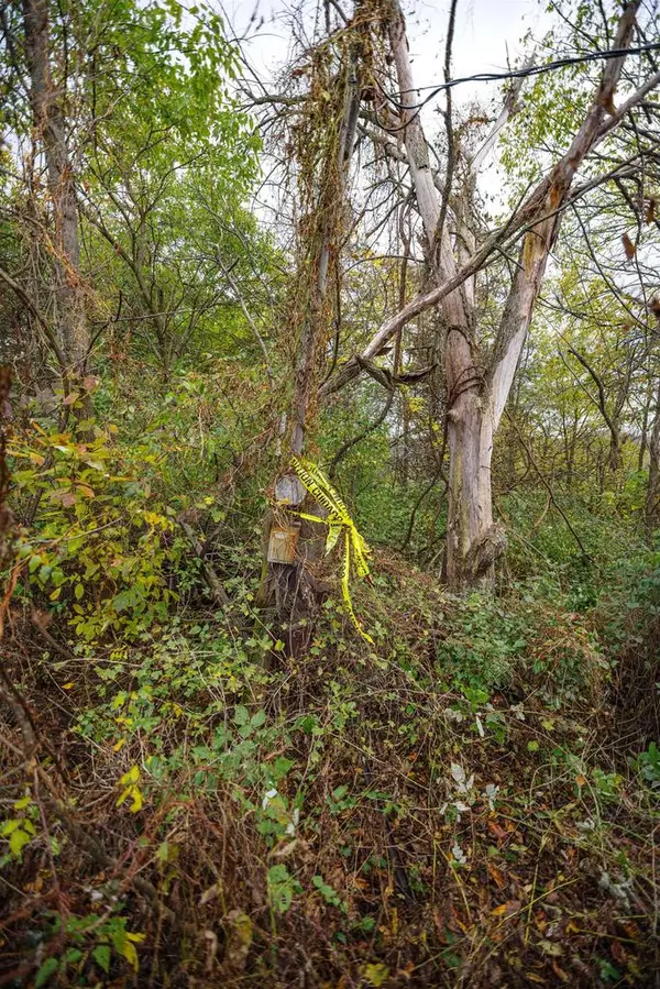 Richland Center, WI 53581,lot 1 County TB Road