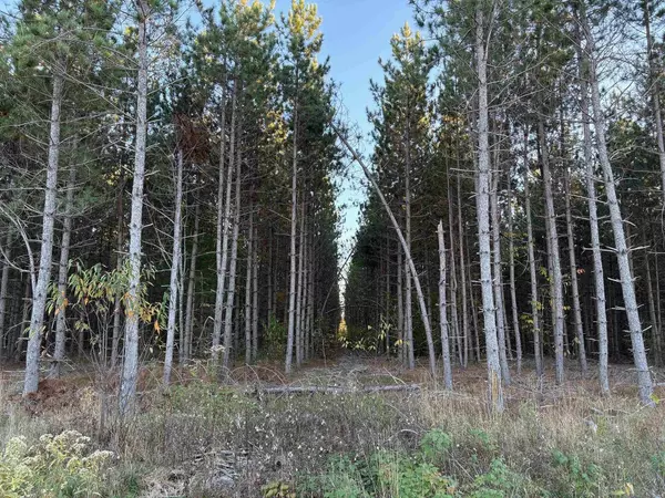 Lot 3 Plantation Road, Other, WI 54463