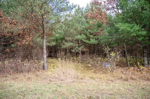 Necedah, WI 54646,5.29 Ac 20th Avenue