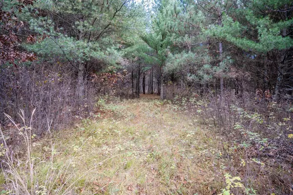 Necedah, WI 54646,5.29 Ac 20th Avenue
