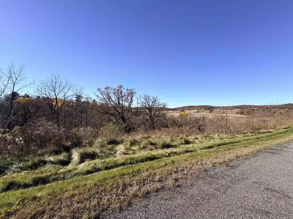 Lots 9 & 10 Honeycut Avenue, Tomah, WI 54660