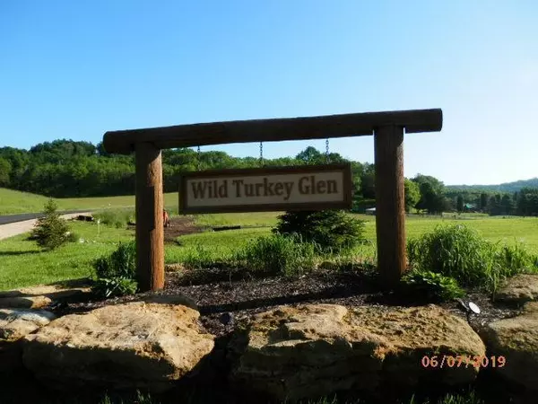 L10 Wild Turkey Lane, Richland Center, WI 53581