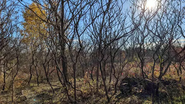 Markesan, WI 53946,L17 Oak Road