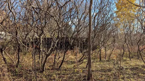 L17 Oak Road, Markesan, WI 53946