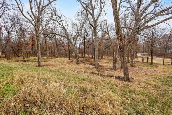 Green Lake, WI 54941,L46 & 47 Savanna Woodland