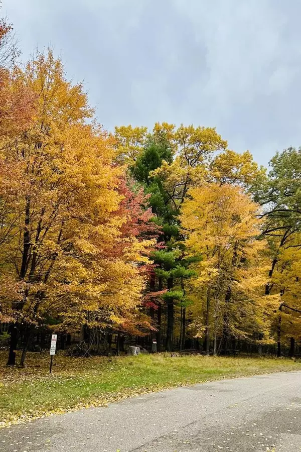 Arkdale, WI 54613,Lot 33 S Badger Lane