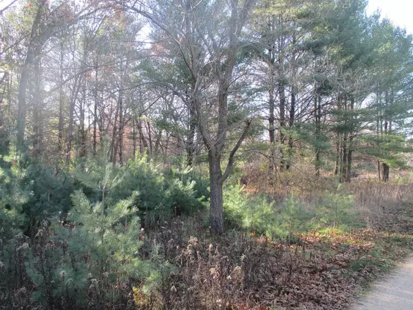 Lot 2 Eagle Rest Court, Montello, WI 53949