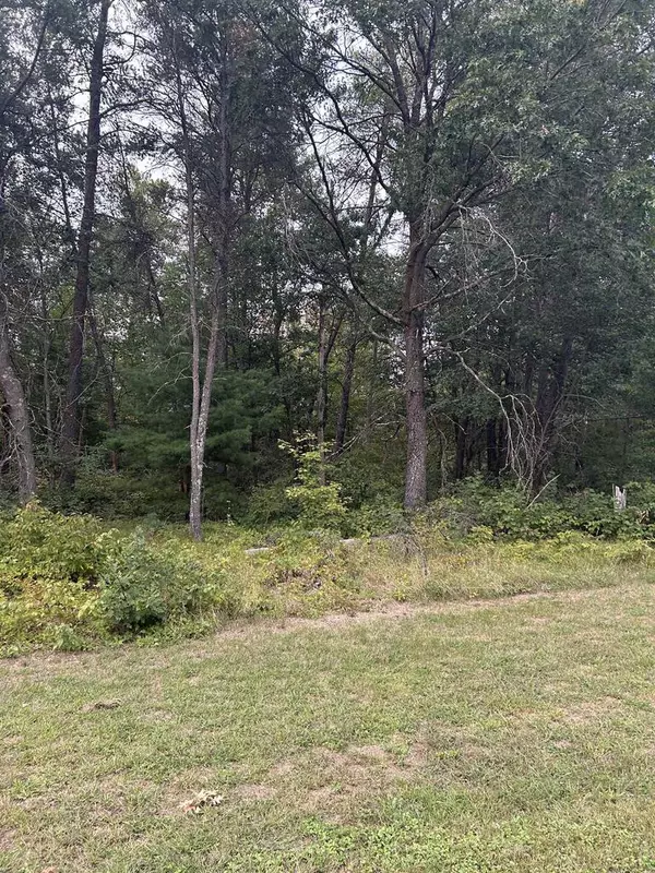 Lot 19 Block 1 Oakdale Drive, New Lisbon, WI 53950