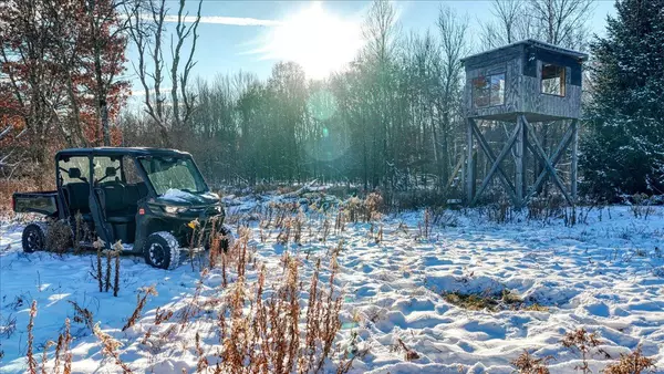 Necedah, WI 54646,N15986 8th Avenue