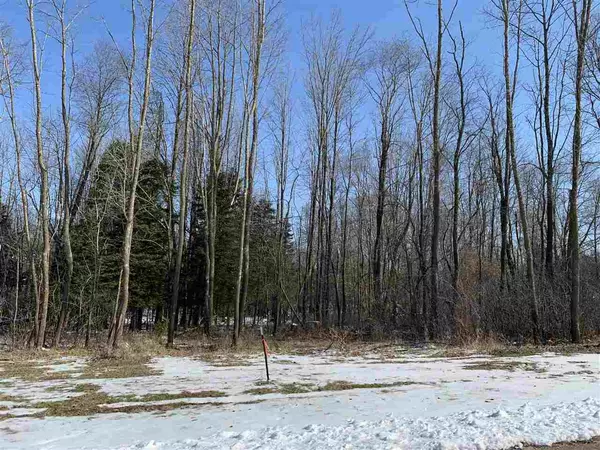 Lot 6 NICHOLAS AVENUE, Wittenberg, WI 54499