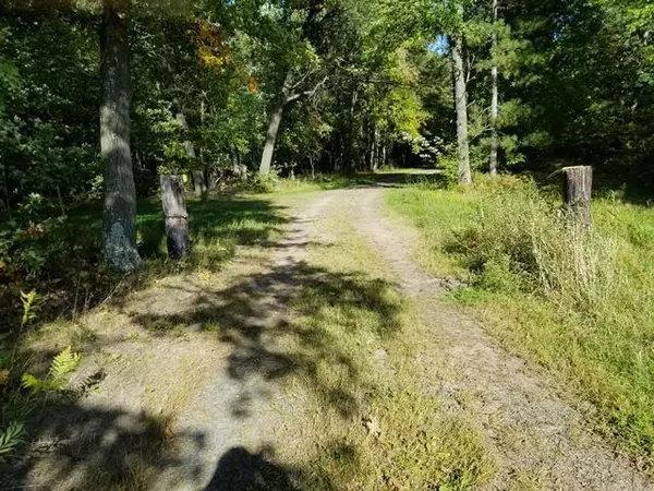 Babcock, WI 54413,COUNTY LINE ROAD