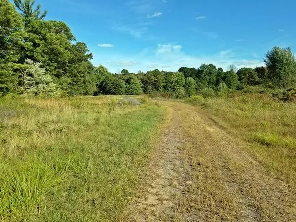 Babcock, WI 54413,COUNTY LINE ROAD
