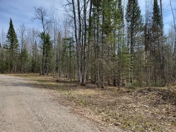 Lot 2 COUNTY ROAD W, Crandon, WI 54520