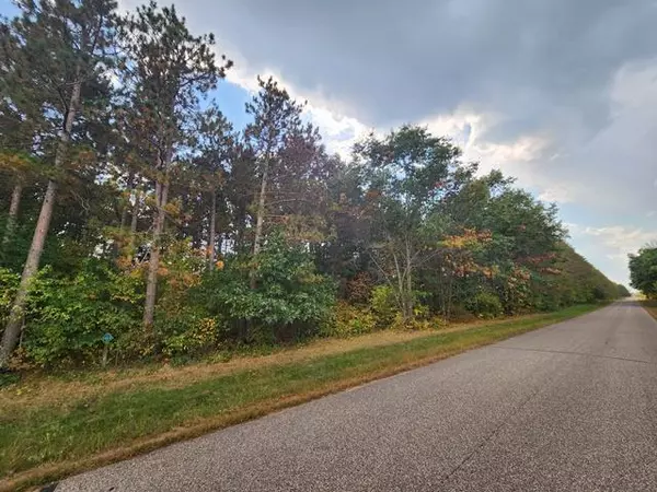 Nekoosa, WI 54457,Lot 28 7th Street East