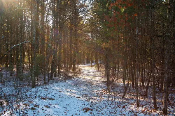 Wisconsin Rapids, WI 54494,Lot 6 NATURES WAY #Parcel # 1801672