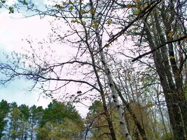 Tomahawk, WI 54487,Lot 16 SELMER ROAD