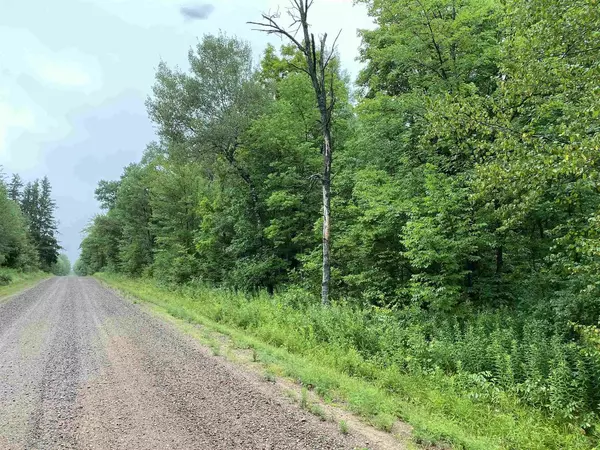 Merrill, WI 54452,ON JOE SNOW ROAD #Sale 2043-4