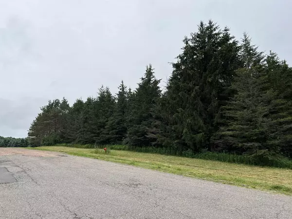 Lot 4 SUE ALAN DRIVE, Wittenberg, WI 54499