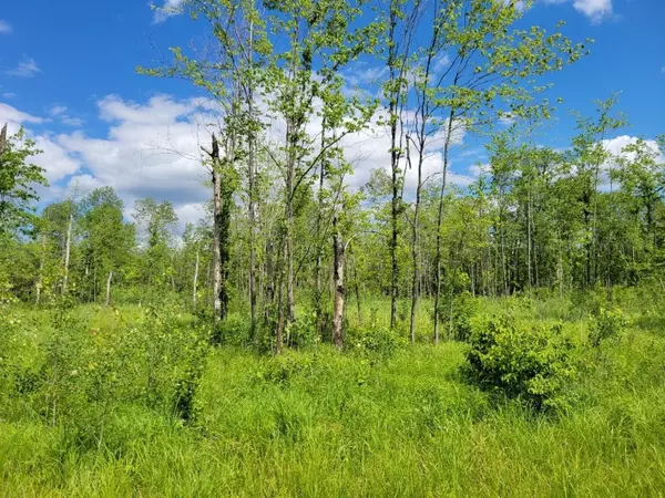 Pittsville, WI 54466,Lot 1 JOHNSON ROAD