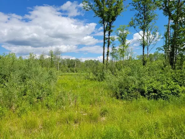 Pittsville, WI 54466,Lot 1 JOHNSON ROAD